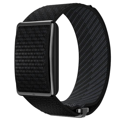Polar Loop (2025)