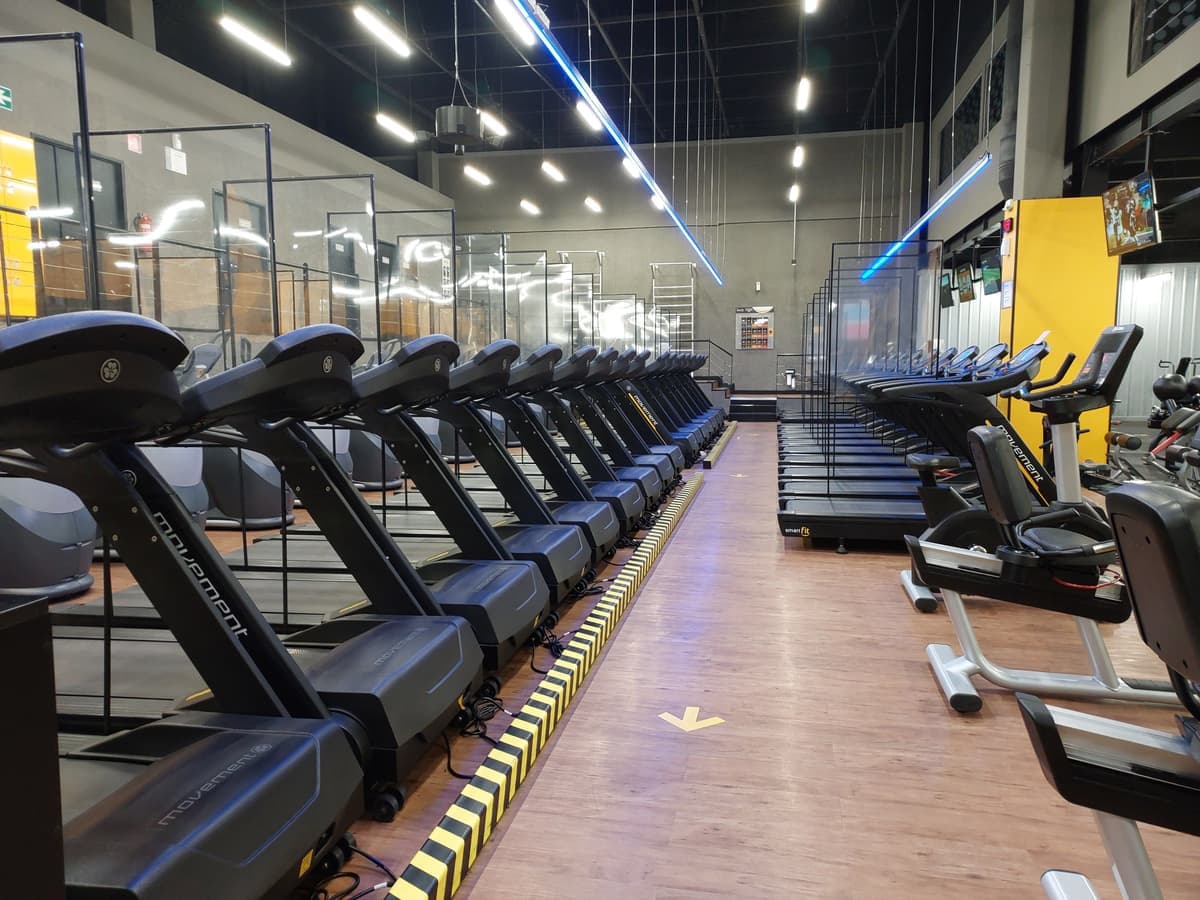 A treadmill and exercise bike in a bright home workout room